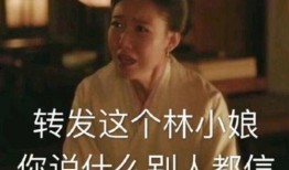 娱乐圈的无耻统治者完整版阅读